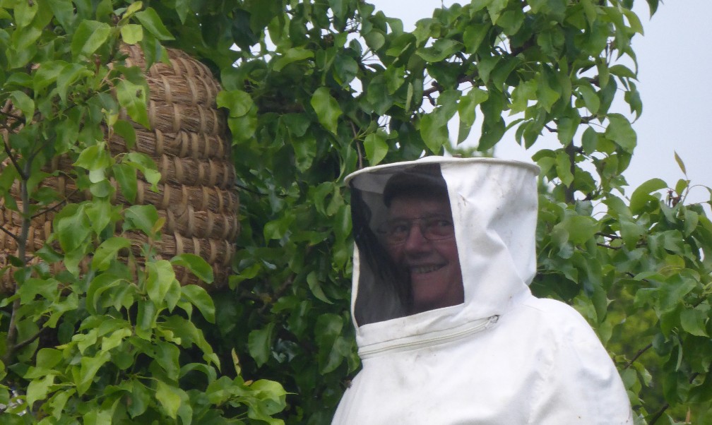 Einfangen eines Bienenschwarms
